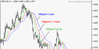 alligator indicator explained