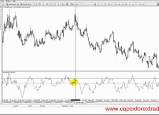 Momentum Forex Indicator Explained