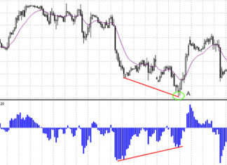 bears power divergence